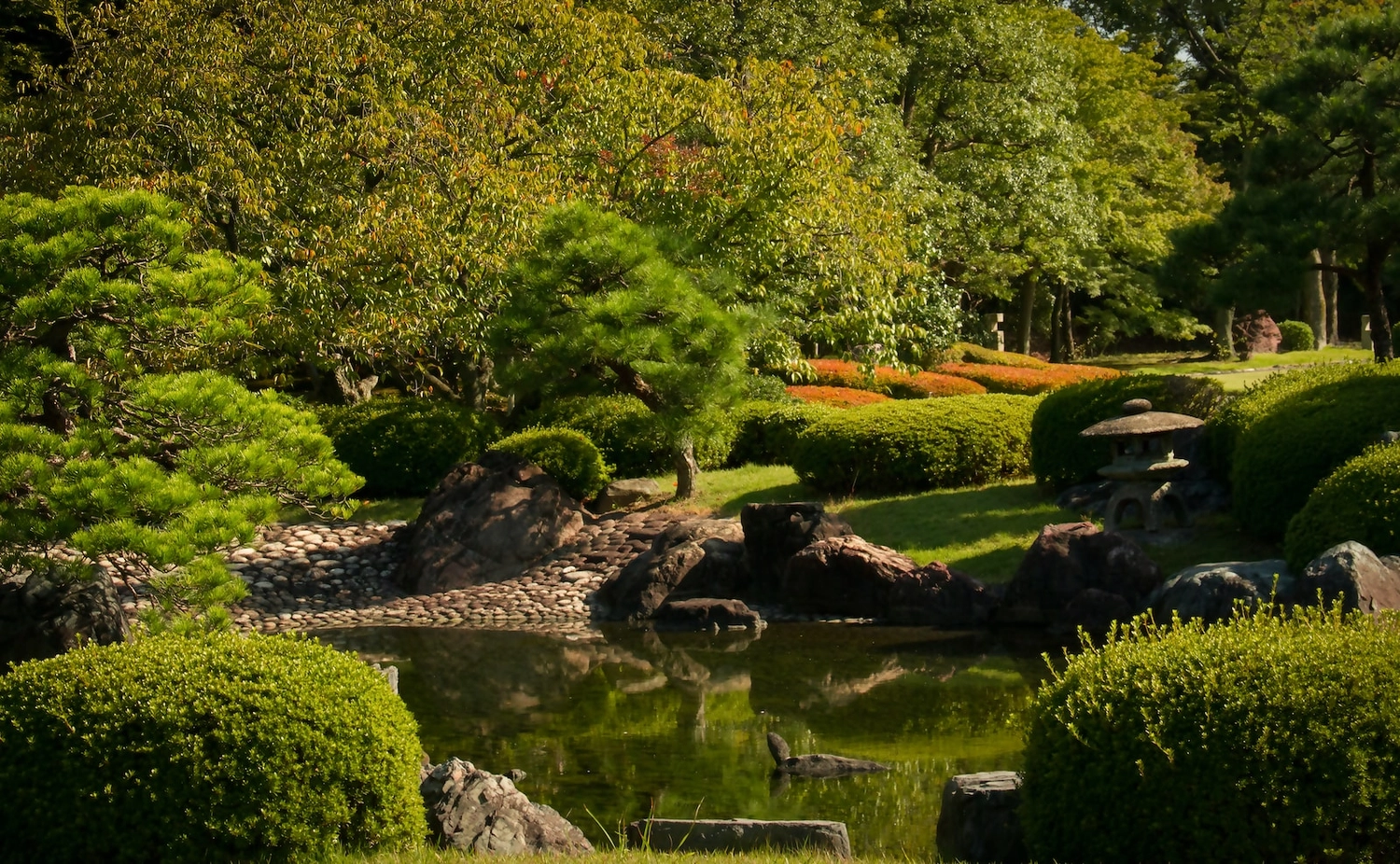 R&I alles rund um Garten - Hausservice - Garten