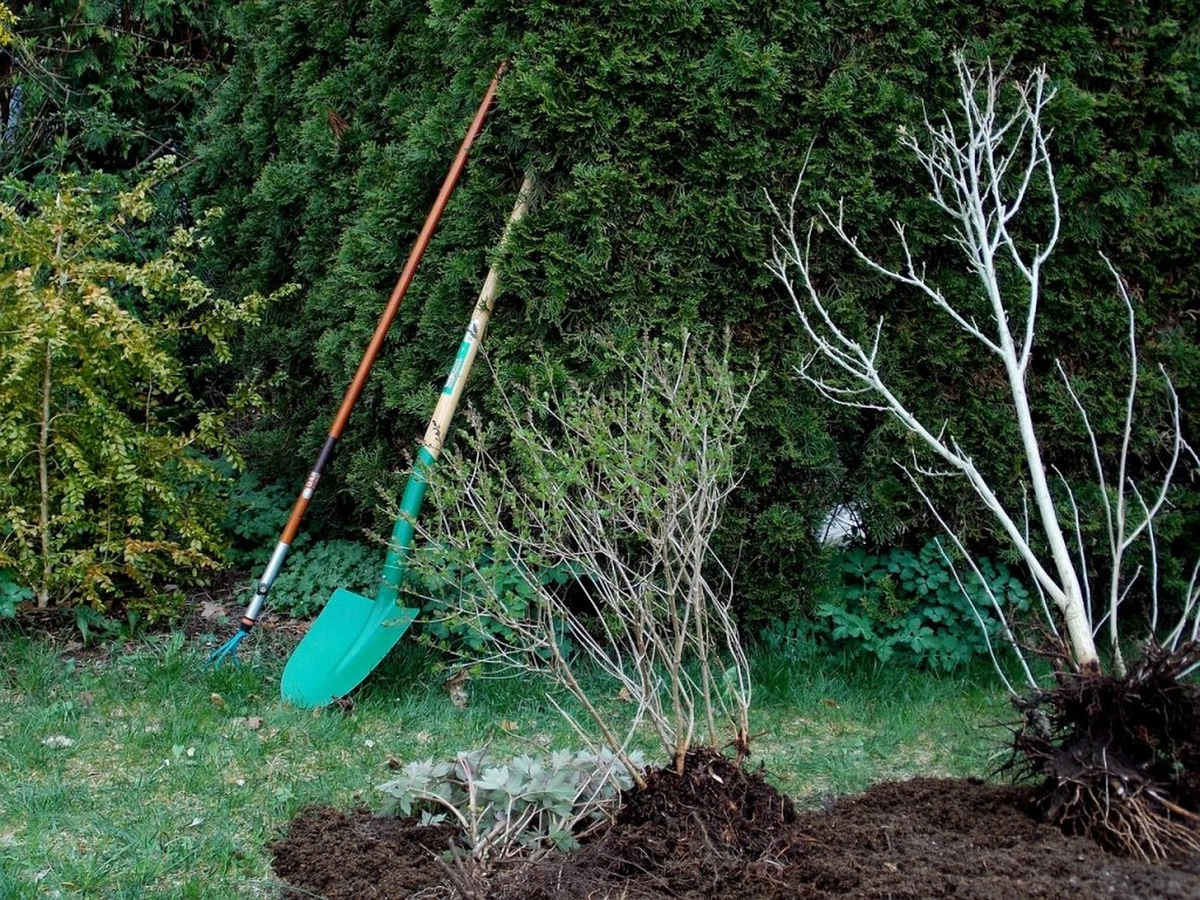 R&I alles rund um Garten - Hausservice - Garten