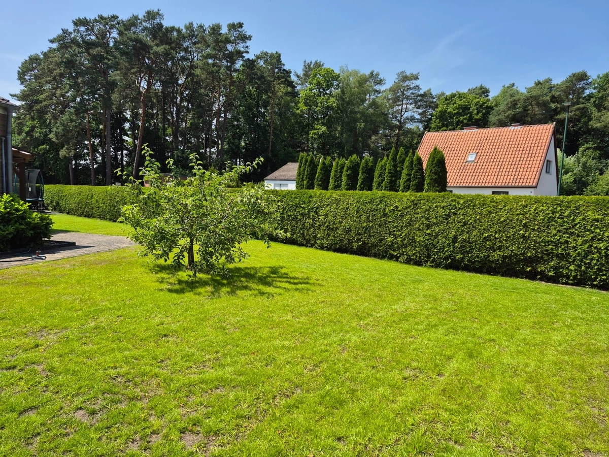 R&I alles rund um Garten - Hausservice - Garten